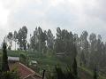 2007 07 14 BALI 105-1